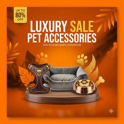 Pet Accessories