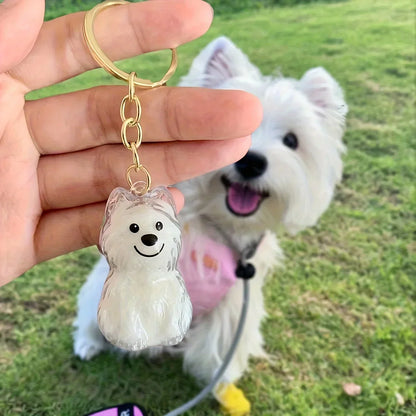 Pet Fur Keepsake Capsule & Memorial Keychain