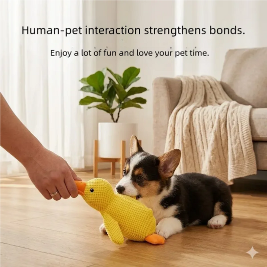 Calming Duck Plush Squeaky Dog Toy