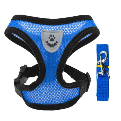 Breathable Mesh Dog Harness & Leash Set