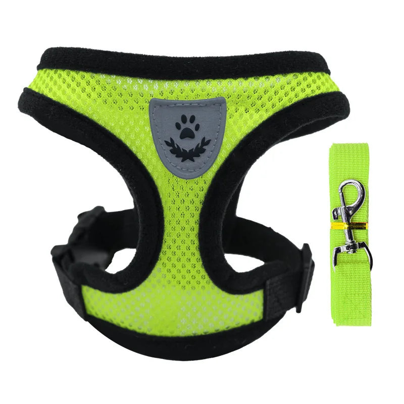 Breathable Mesh Dog Harness & Leash Set