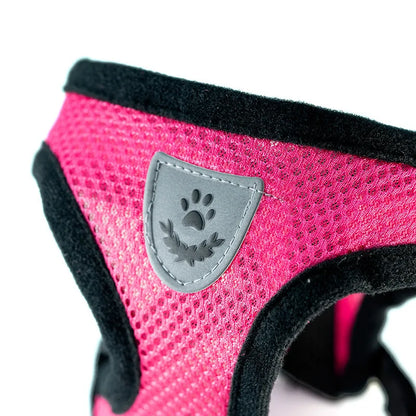 Breathable Mesh Dog Harness & Leash Set