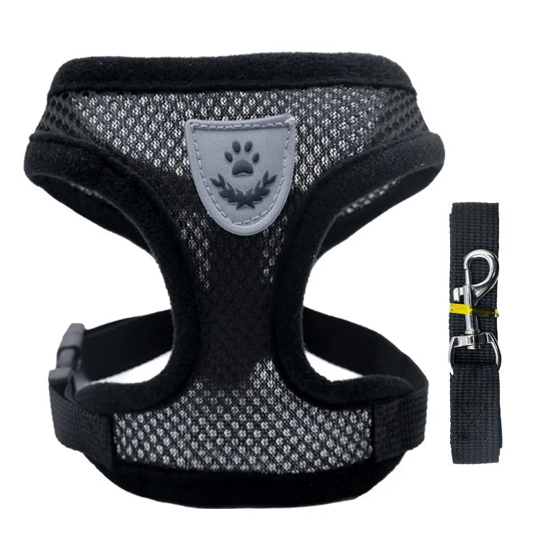 Breathable Mesh Dog Harness & Leash Set