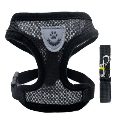 Breathable Mesh Dog Harness & Leash Set