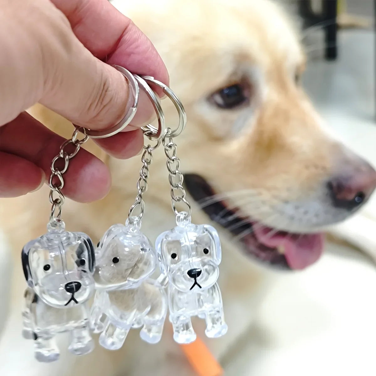 Pet Fur Keepsake Capsule & Memorial Keychain