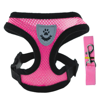 Breathable Mesh Dog Harness & Leash Set