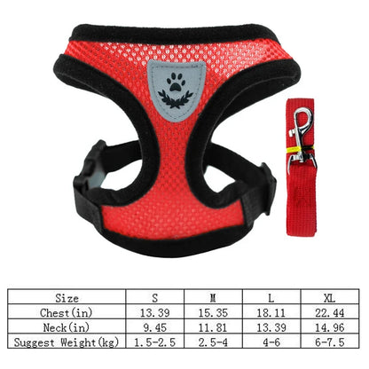 Breathable Mesh Dog Harness & Leash Set