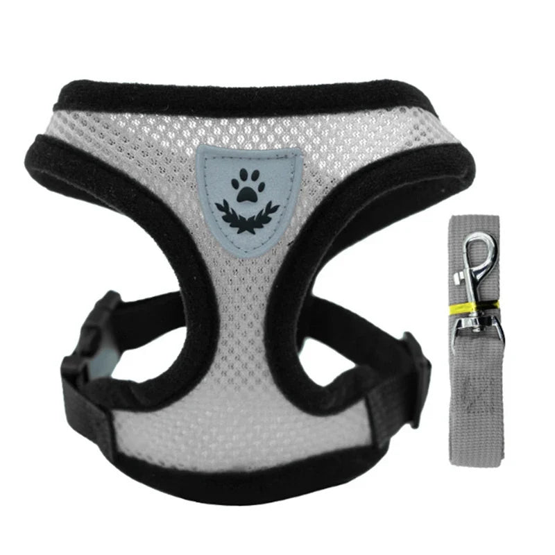 Breathable Mesh Dog Harness & Leash Set