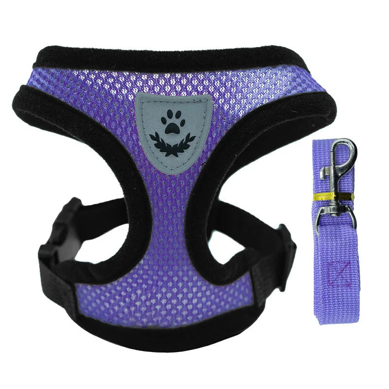 Breathable Mesh Dog Harness & Leash Set