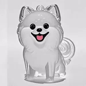 Pet Fur Keepsake Capsule & Memorial Keychain