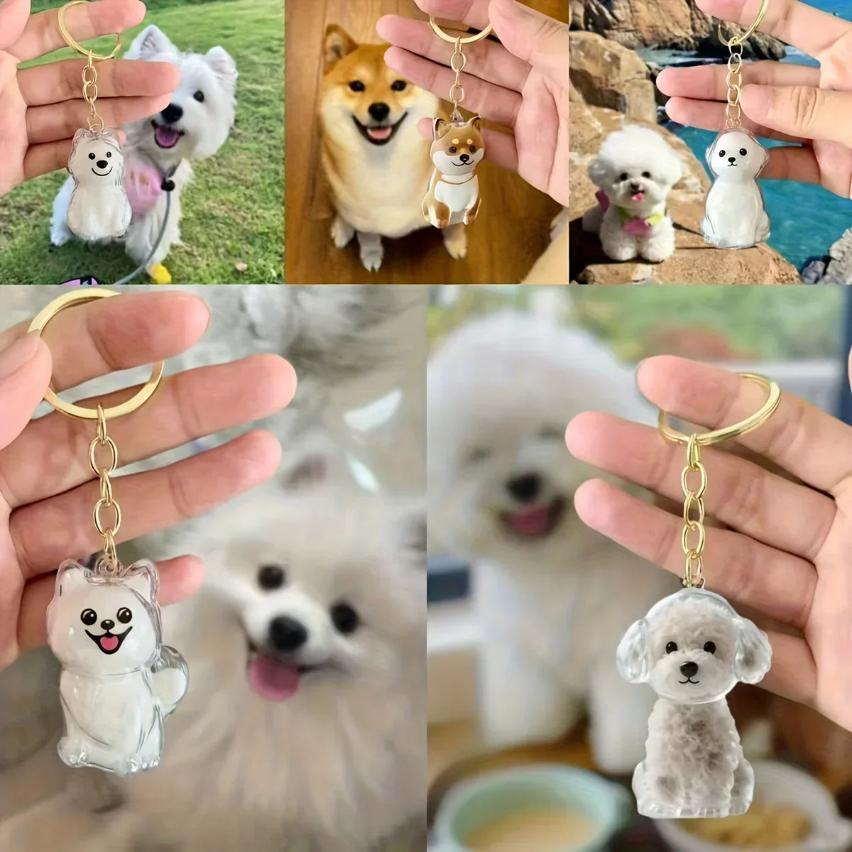 Pet Fur Keepsake Capsule & Memorial Keychain