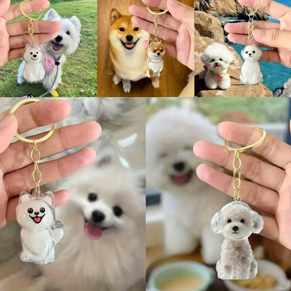 Pet Fur Keepsake Capsule & Memorial Keychain