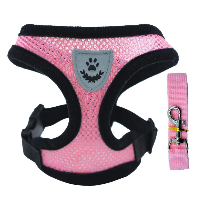 Breathable Mesh Dog Harness & Leash Set