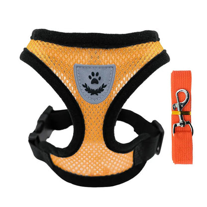 Breathable Mesh Dog Harness & Leash Set