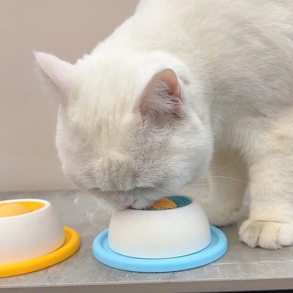 Interactive Slow Feeder Pet Lick Mat & Crate Toy