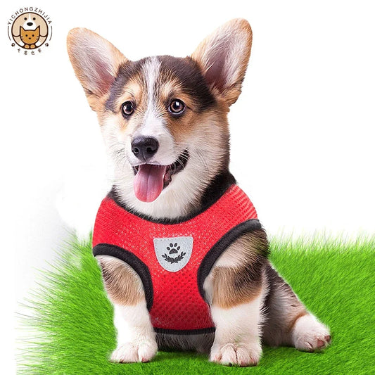 Breathable Mesh Dog Harness & Leash Set
