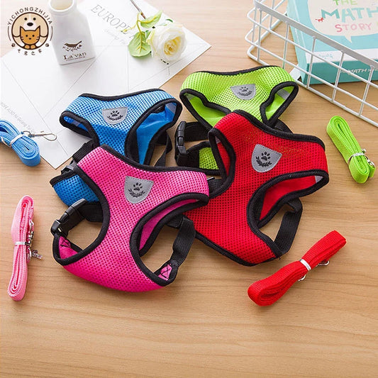 Breathable Mesh Dog Harness & Leash Set