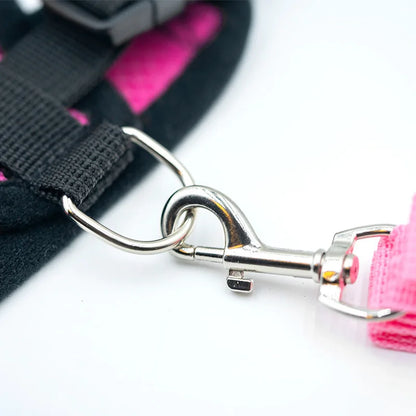 Breathable Mesh Dog Harness & Leash Set