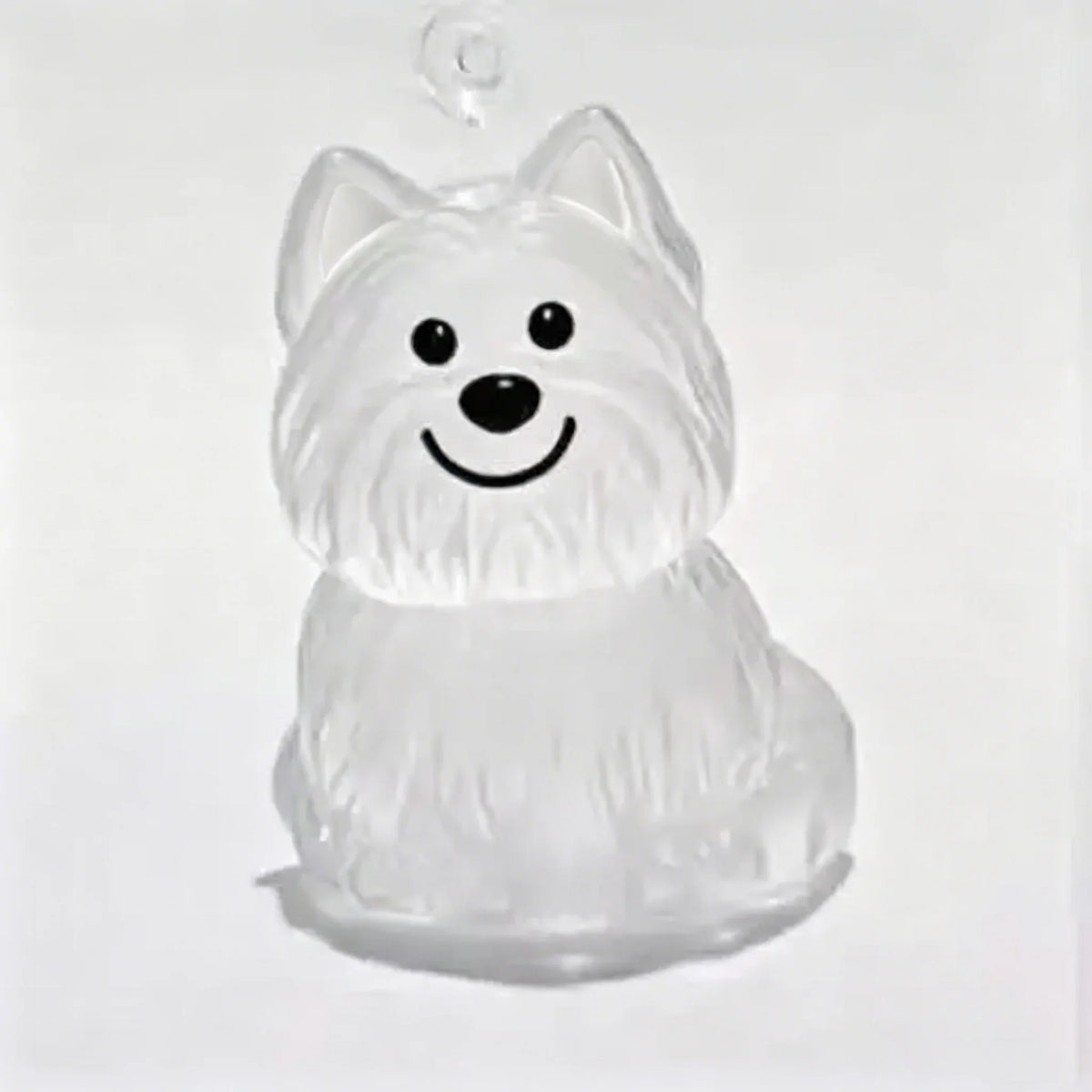 Pet Fur Keepsake Capsule & Memorial Keychain