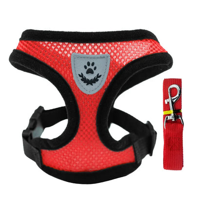 Breathable Mesh Dog Harness & Leash Set